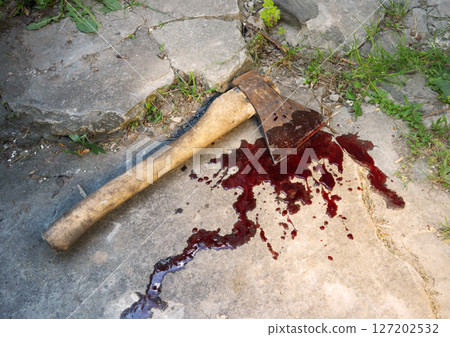 Irone axe lies on the ground 127202532