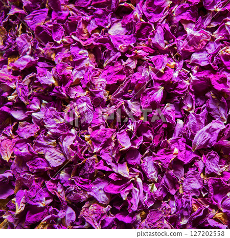 Natural background of rose petals Natural background of rose petals 127202558