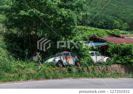 長野町的田園風光－我的家鄉風景 127202832