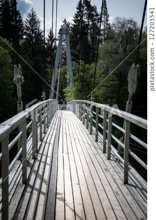 Suspension Footbridge in Forest with Wooden Planks and Steel Cables in Natural Light. Suspension Footbridge in Forest with Wooden Planks and Steel Cables in Natural Light. 127203541