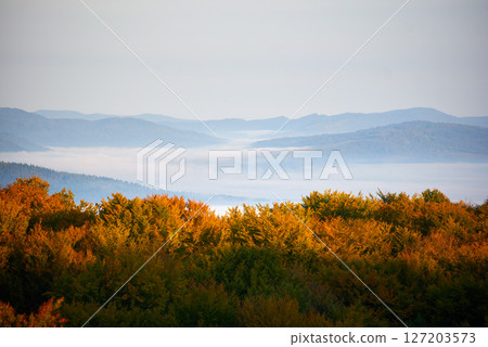 Vibrant autumn landscape. Trees adorned in fiery red, orange, and yellow foliage. Layers of mist blanket valleys, distant mountains rise under soft, pastel sky. Warm autumn colors. 127203573