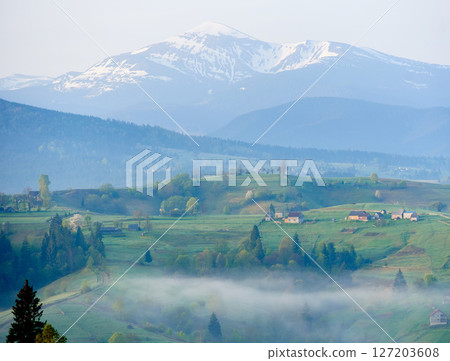 Misty morning in rural valley. Lush green hills dotted with houses and trees, with layer of fog. In the background, snow-capped mountains rise majestically under soft pastel sky. Hoverla, Ukraine. Misty morning in rural valley. Lush green hills dotted with houses and trees, with layer of fog. In the background, snow-capped mountains rise majestically under soft pastel sky. Hoverla, Ukraine. 127203608