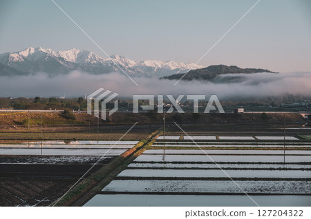 Northern Alps, morning mist and rice paddy fields [Azumino] 127204322