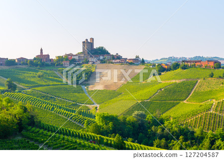Vineyards surround Serralunga d'Alba, Italy, showcasing the region's wine production and historic architecture.. 127204587
