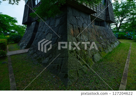 Miyakonojo City Hydrangea Park R7 127204622