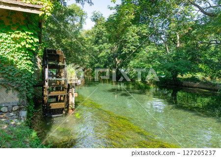 <安曇野>大王山葵農場的水車和美麗溪流的壯麗景色 <安曇野>大王山葵農場的水車和美麗溪流的壯麗景色 127205237