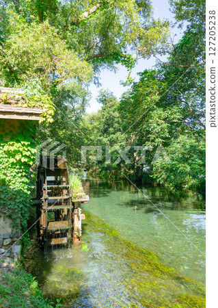 <Azumino> Spectacular view of the waterwheel and beautiful stream at Daio Wasabi Farm 127205238