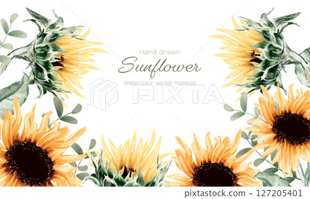 Sunflower frame painted by watercolor 127205401