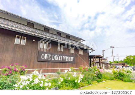 Curved Dot Winery 127205507