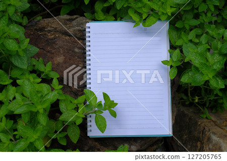 Book note on the field on sunny day in spring. 127205765