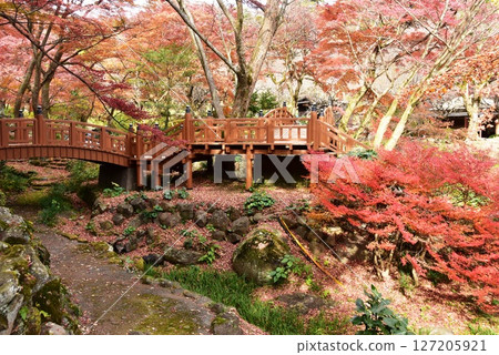 Colorful autumn leaves at Atami Plum Garden and Sobi Bridge, Shizuoka Prefecture 127205921