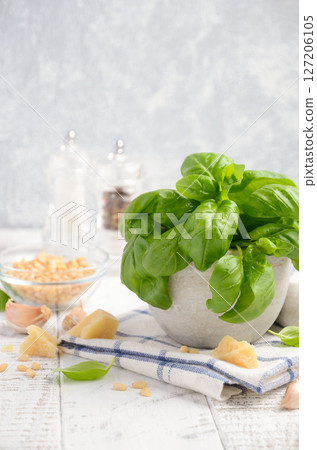 Ingredients for making green pesto sauce. Healthy Italian food. Selective focus. Ingredients for making green pesto sauce. Healthy Italian food. Selective focus. 127206105