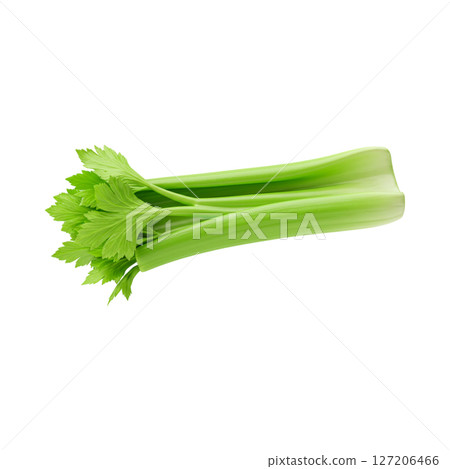 Fresh green celery stalk 3d illustration isolated on transparent background 127206466
