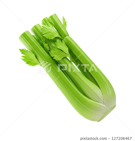 3d illustration of a whole fresh green celery stalk isolated on transparent background 127206467
