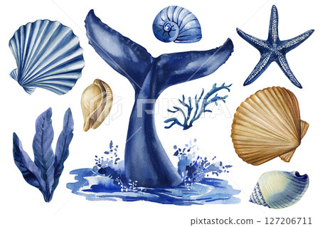 Watercolor Blue Whale Tail and Shells Clipart Set Marine Ocean Life with Coral and Seaweed. marine elements, ocean decor, sea,  127206711