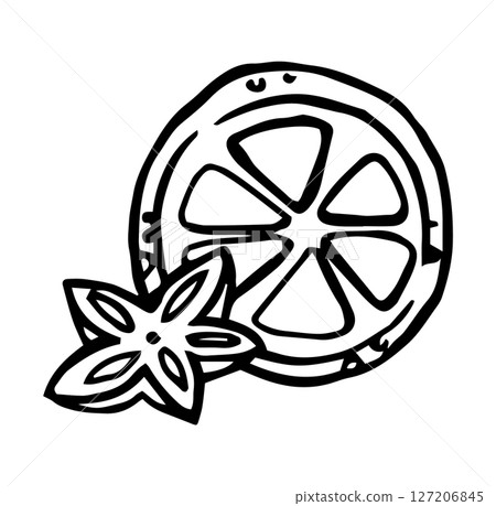spices, orange and anise. simple vector doodle illustration.	 127206845