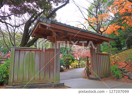 Scenery of Yokohama Park, Yokohama City, Kanagawa Prefecture Scenery of Yokohama Park, Yokohama City, Kanagawa Prefecture 127207099
