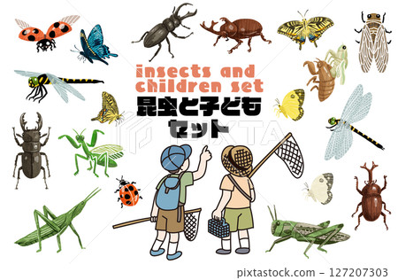 兒童採集昆蟲的向量圖 127207303