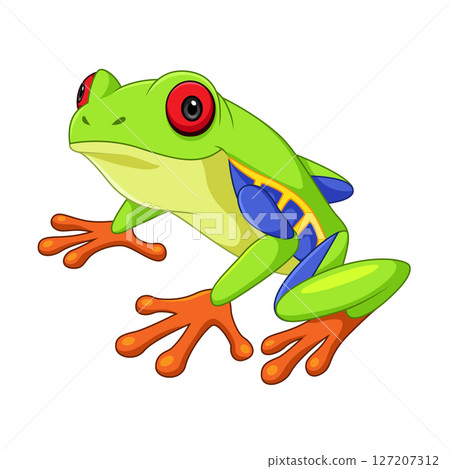 Cartoon green tree frog on white background Cartoon green tree frog on white background 127207312