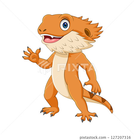Cartoon cute bearded dragon isolated on white background Cartoon cute bearded dragon isolated on white background 127207316