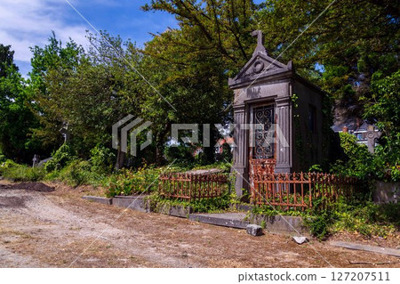 Abandoned Dieweg cemetery overtaken by nature in Brussels, Belgium, sunny day Abandoned Dieweg cemetery overtaken by nature in Brussels, Belgium, sunny day 127207511