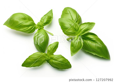 Basil leaves isolated on white background. Ai Generative 127207992