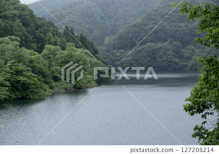 霧氣籠罩下，新綠盎然的草木湖 127208214