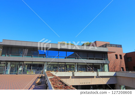 View of the Tokyo Metropolitan Art Museum in Taito Ward, Tokyo 127208608