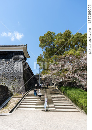 Matsue Castle, Matsue City, Shimane Prefecture 127209003