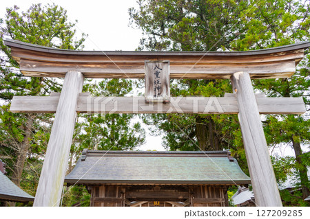Torii gate of Yaegaki Shrine, Matsue City, Shimane Prefecture Torii gate of Yaegaki Shrine, Matsue City, Shimane Prefecture 127209285
