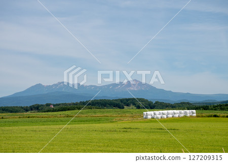 綠色草原和夏季山脈，大雪山 127209315