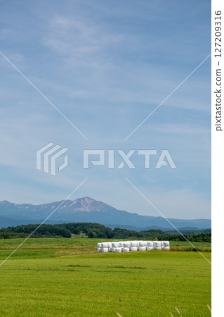綠色草原和夏季山脈，大雪山 127209316