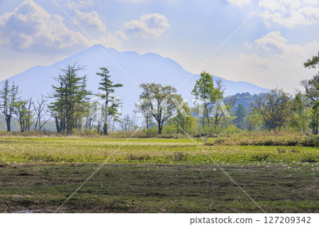 Early summer in Oze: Fresh greenery and blooming skunk cabbages from Yamanohana to Ryugu 127209342