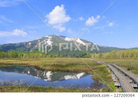 Early summer in Oze: Fresh greenery and blooming skunk cabbages from Yamanohana to Ryugu Early summer in Oze: Fresh greenery and blooming skunk cabbages from Yamanohana to Ryugu 127209364