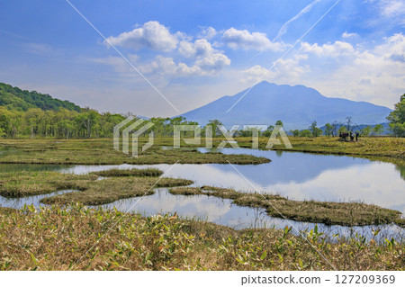 Early summer in Oze: Fresh greenery and blooming skunk cabbages from Yamanohana to Ryugu 127209369