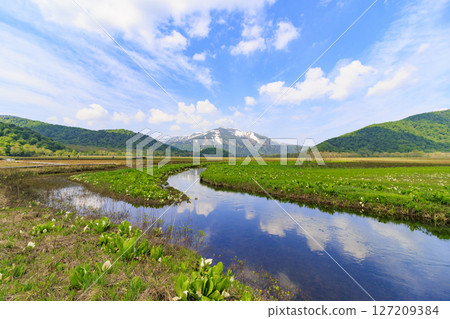 Early summer in Oze: Fresh greenery and blooming skunk cabbages from Yamanohana to Ryugu 127209384