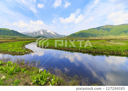 Early summer in Oze: Fresh greenery and blooming skunk cabbages from Yamanohana to Ryugu Early summer in Oze: Fresh greenery and blooming skunk cabbages from Yamanohana to Ryugu 127209385