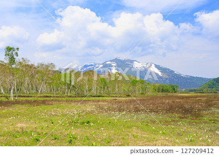 Early summer in Oze: Fresh greenery and blooming skunk cabbages from Yamanohana to Ryugu Early summer in Oze: Fresh greenery and blooming skunk cabbages from Yamanohana to Ryugu 127209412