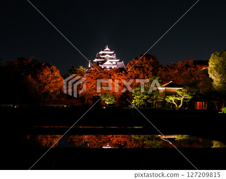 Illuminated Okayama Castle tower as seen from Korakuen 127209815