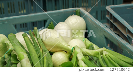 White onion roots with green leaves in plastic containers displayed at food market White onion roots with green leaves in plastic containers displayed at food market 127210642
