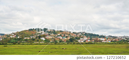 Typical landscape of Madagascar on overcast cloudy day - livestock grazing at wet rice fields in foreground, houses on small hills of Antananarivo suburb 127210652