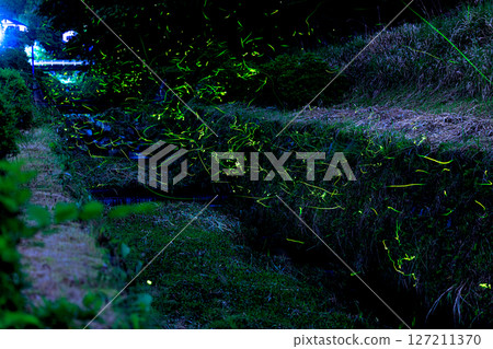 螢火蟲在水面上飛舞 127211370