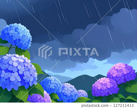 Hydrangea rainy season rain heavy rain 127211413
