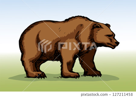 Vector drawing. Cute big bear Vector drawing. Cute big bear 127211458