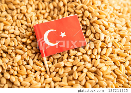 Turkey flag with Wheat and grains ears agricultural, organic farm 127211525