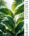 Vibrant green tropical leaves reach towards a bright sky, refresh and natural background. Perfect for tropical, nature, or summer themes. 127211631