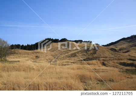 兵庫縣上川町砥峰高原的風景 兵庫縣上川町砥峰高原的風景 127211705