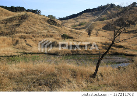 兵庫縣上川町砥峰高原的風景 127211708