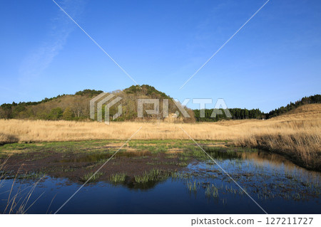 兵庫縣上川町砥峰高原的風景 127211727