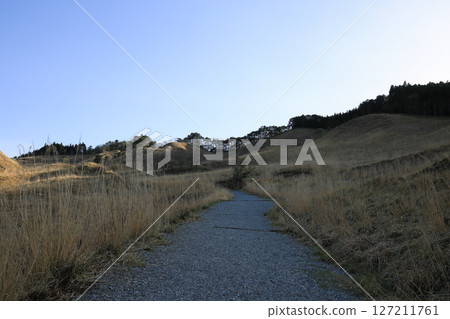 兵庫縣上川町砥峰高原的風景 127211761